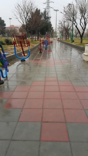 عکس پارک گل نرگس