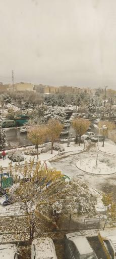 عکس پارک گل نرگس