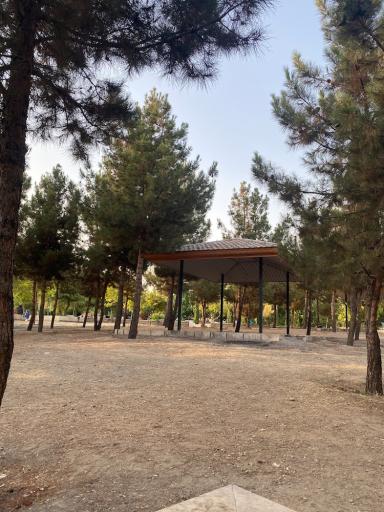 عکس پارک گل نرگس