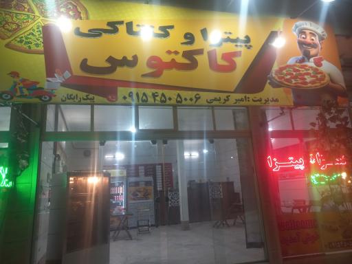 عکس پیتزا و ساندویچ و مرغ بریان کاکتوس 