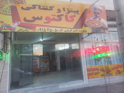 عکس پیتزا و ساندویچ و مرغ بریان کاکتوس 