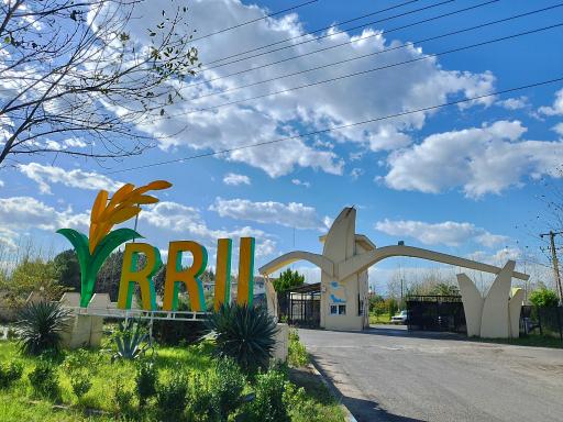 موسسه تحقیقات برنج کشور