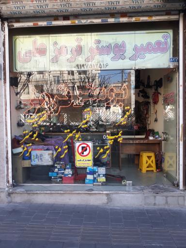 بوستر ترمز علی