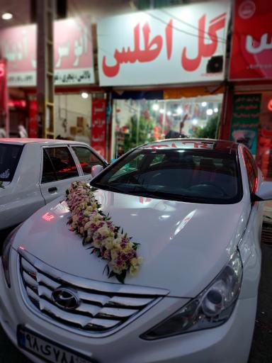 عکس گل اطلس