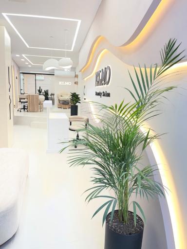 عکس سالن زیبایی المو