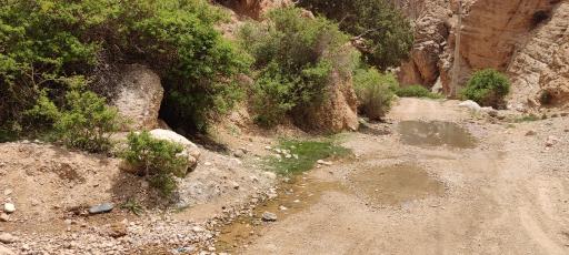 عکس چشمه سرآور