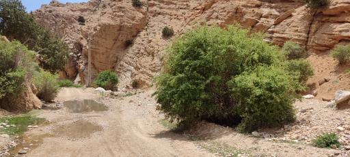 عکس چشمه سرآور