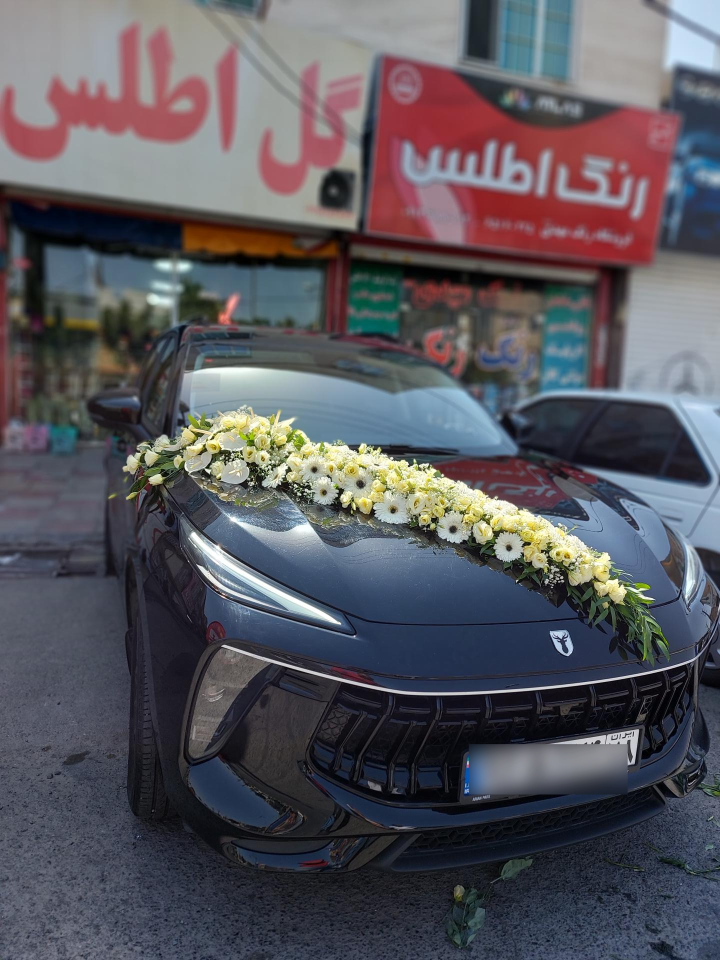 عکس گل اطلس