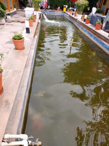 عکس رستوران دکتر خاکی