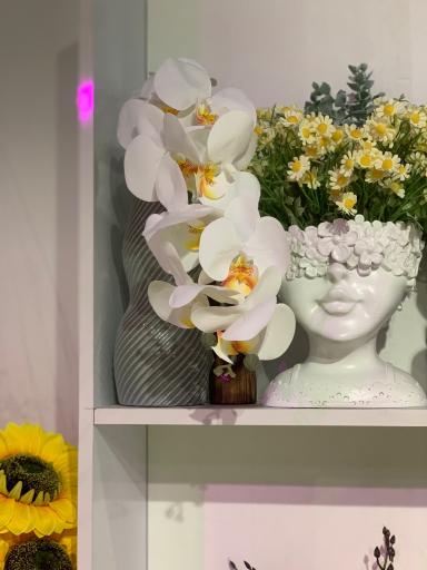 عکس گل فروشی آنیا