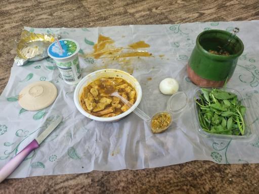 عکس دیزی پاشا