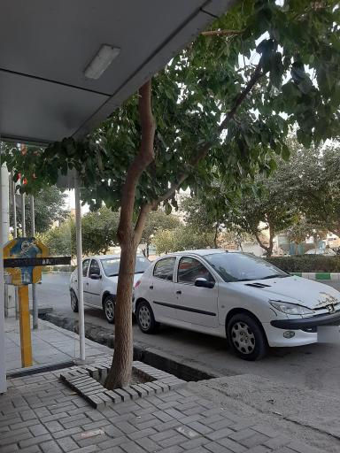 عکس  هدایت 12