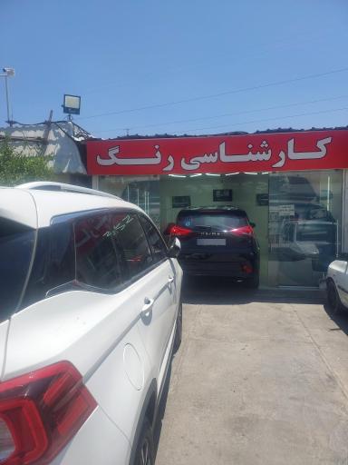 عکس کارشناسی و تشخیص رنگ ایران