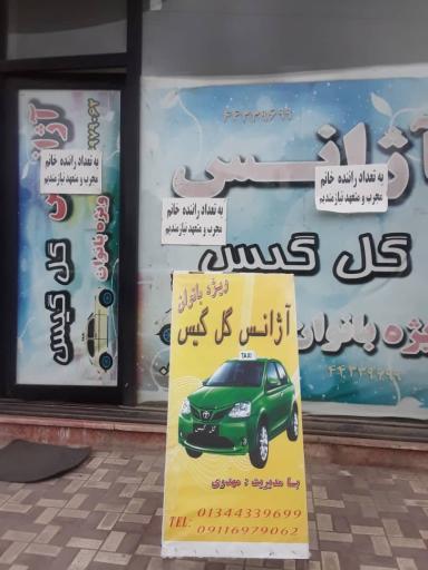 عکس آژانس بانوان صومعه سرا گل گیس