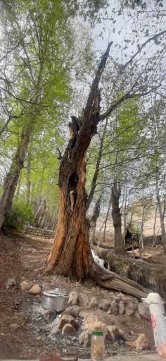 عکس آبشار آیینه ورزان