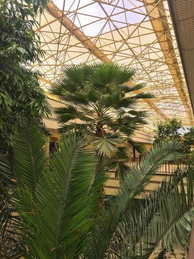 عکس دانشکده مهندسی معماری و شهرسازی