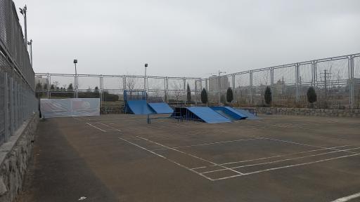 عکس پیست اسکیت آسا 