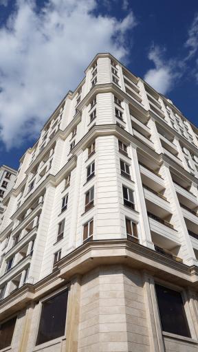 مجتمع رونیکا پالاس