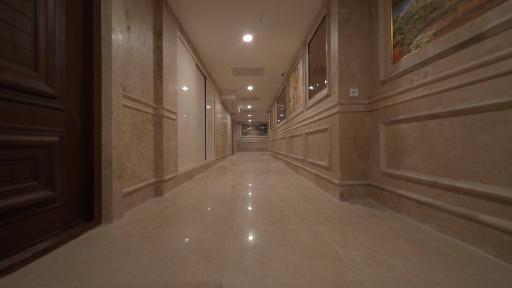 مجتمع رونیکا پالاس