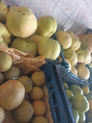 عکس میوه فروشی چهار فصل