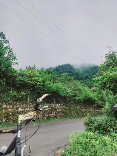 عکس یالبندان