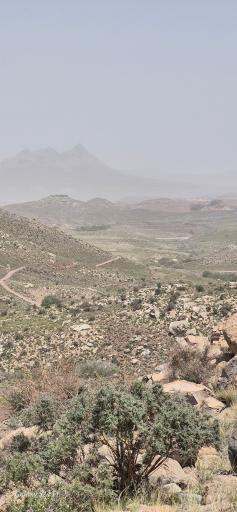عکس رفسنجان