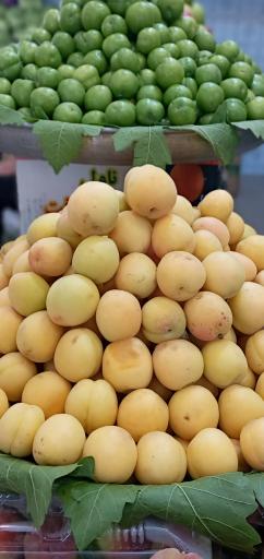 عکس میوه سرای آرین