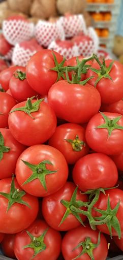 عکس میوه سرای آرین