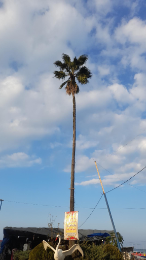 عکس یالبندان