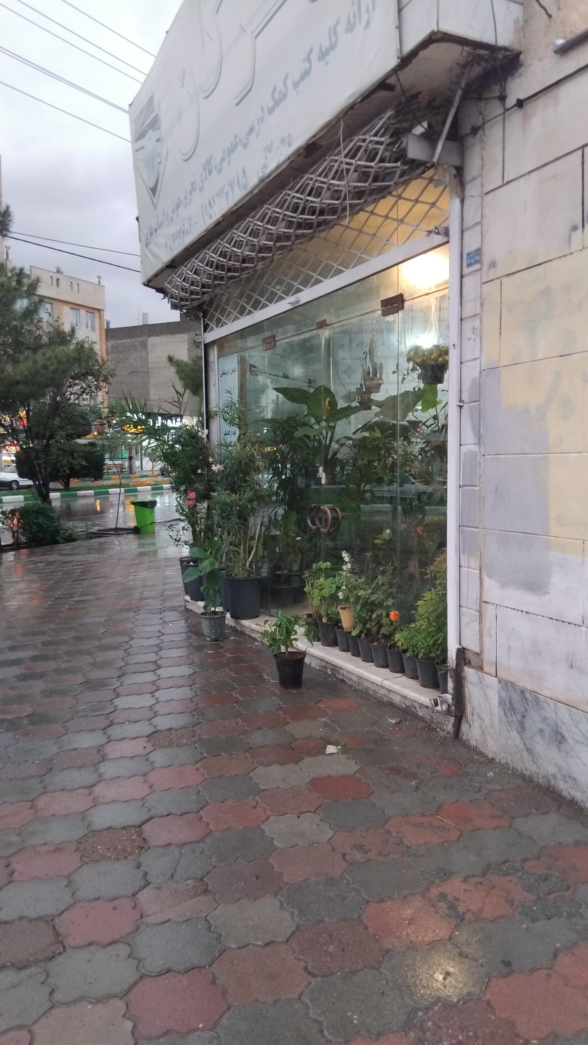 عکس گل و گیاه شاه پسندی