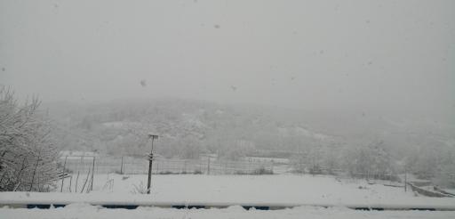 عکس چایباغ