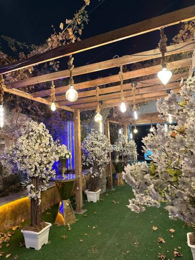 عکس تالار پذیرایی لوکس سینا