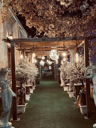 تالار پذیرایی لوکس سینا