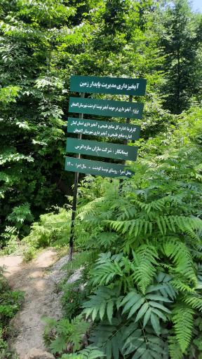عکس آبشار ماهی موشه (زاکلبر)