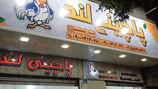 عکس پاچینی لند 