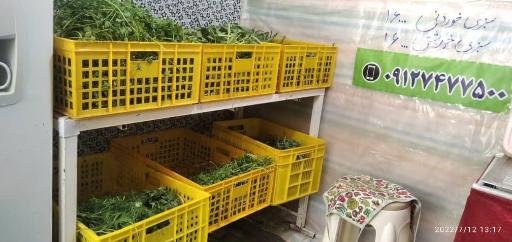 عکس سبزی فروشی رحیمی