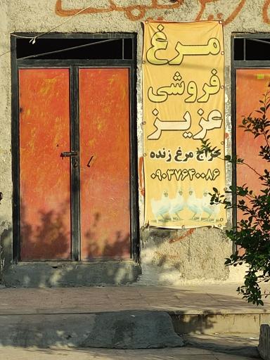 عکس مرغ زنده فروشی عزیز