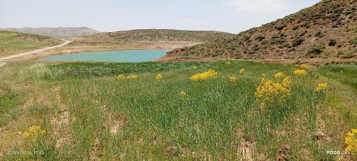 عکس شهرکرد