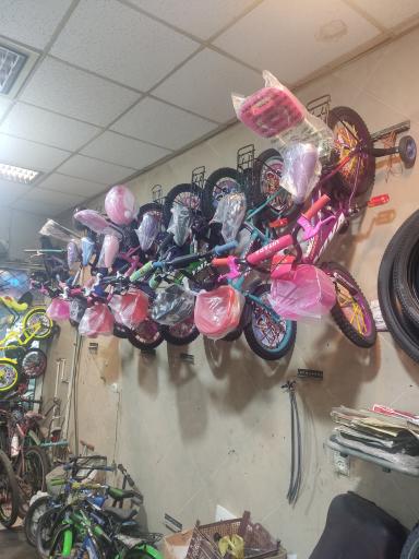 عکس فروشگاه دوچرخه پویا