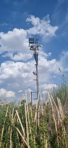 عکس گل فروشی بحیرایی