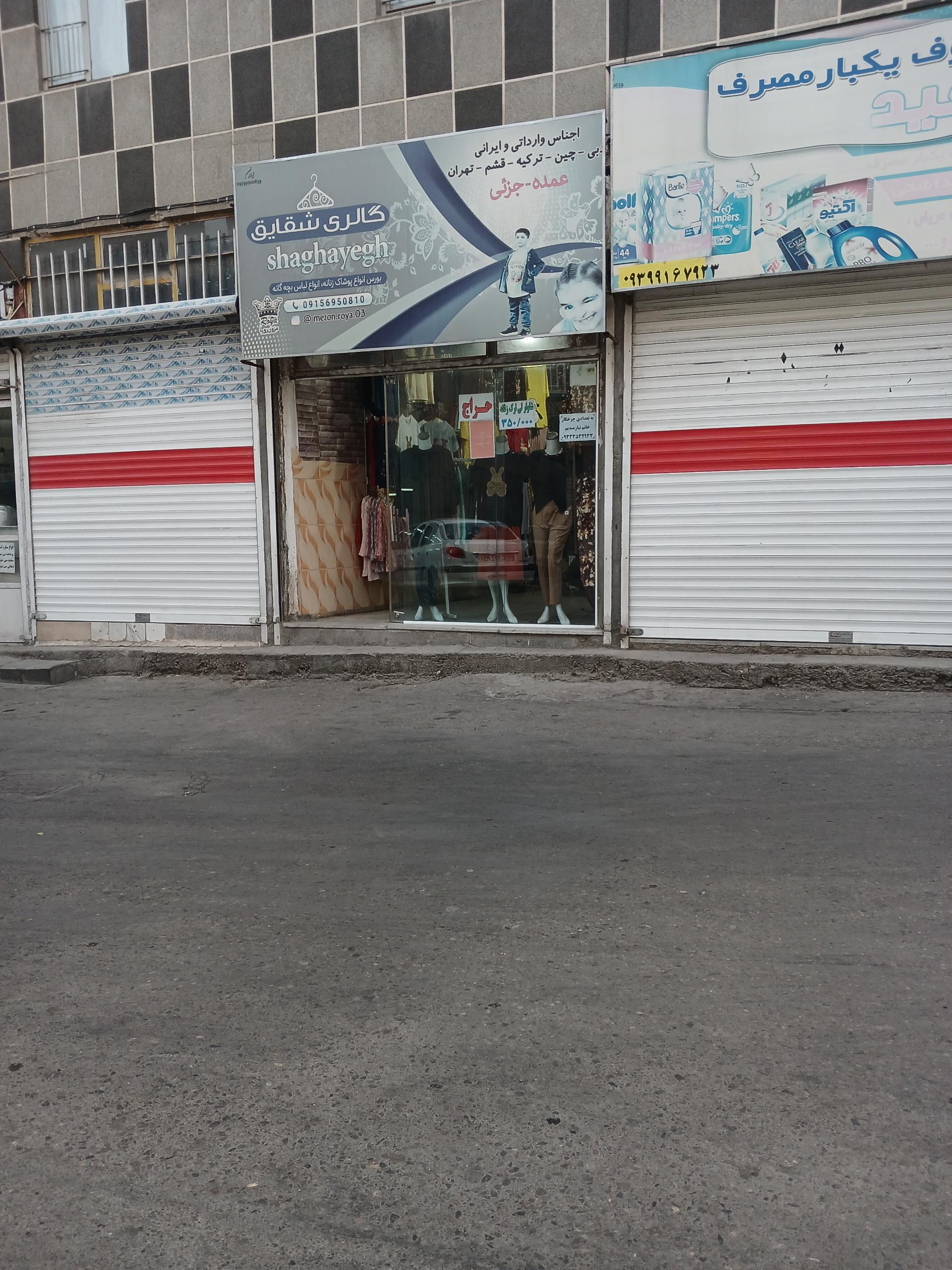 عکس گالری شقایق