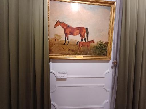 عکس موزه هنرهای زیبا