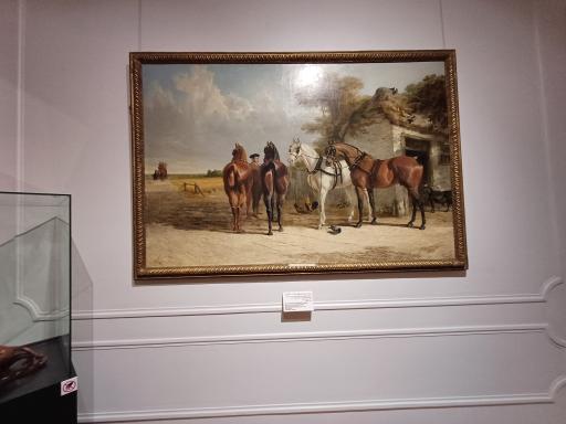 عکس موزه هنرهای زیبا