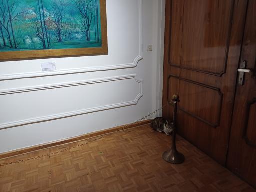 عکس موزه هنرهای زیبا