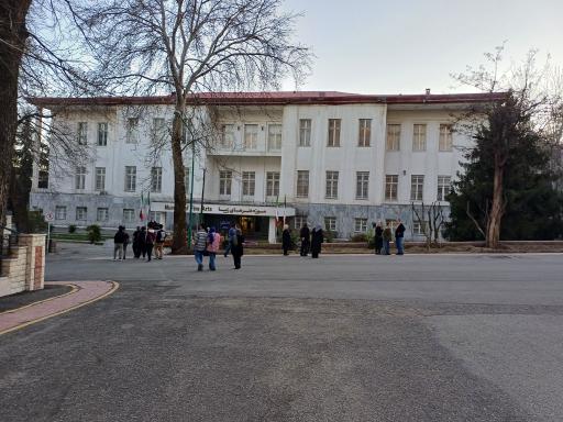 عکس موزه هنرهای زیبا