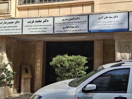 عکس دکتر سید علی آذین