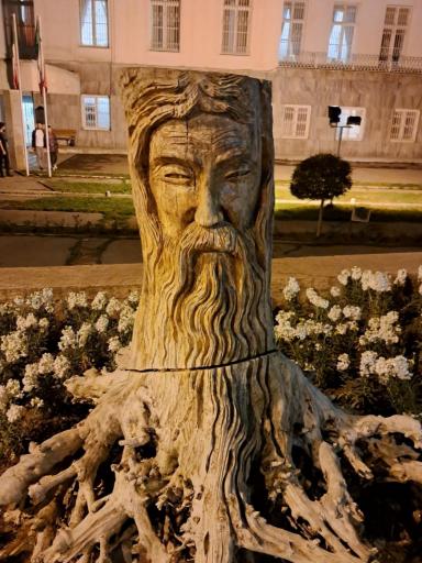 عکس موزه هنرهای زیبا