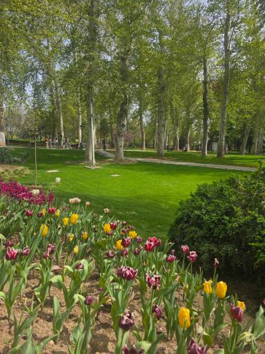 موزه هنرهای زیبا