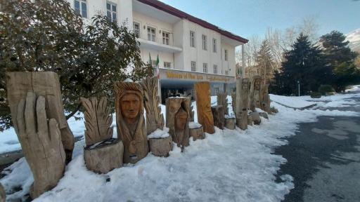 عکس موزه هنرهای زیبا