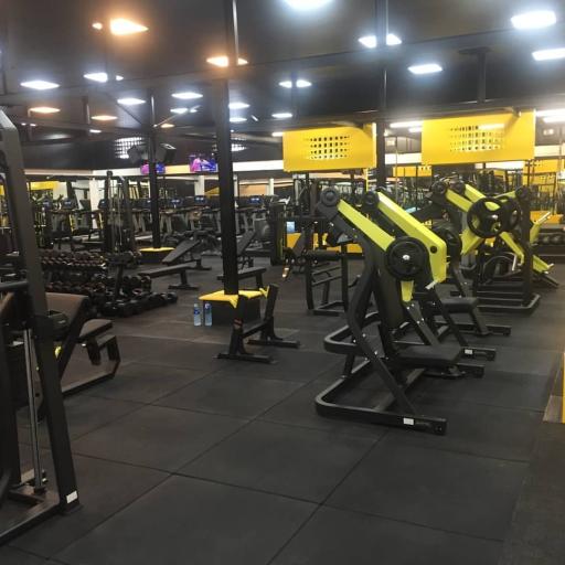 عکس باشگاه دیاکو